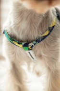 All For Dogs Mini Zestaw dla psa MORO zielone, granatowe i żółte grochy Rozm. S