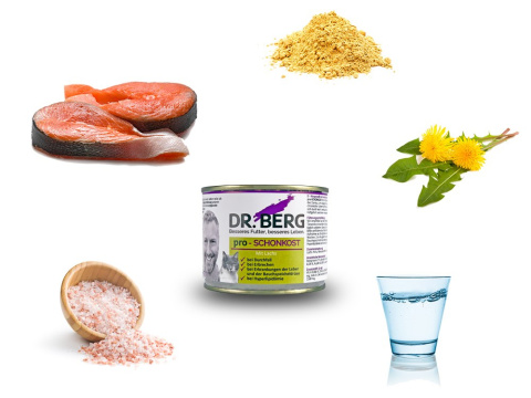 Dr BERG Pro-SCHONKOST – łosoś 190g dla kota Dr BERG Pro-SCHONKOST – łosoś 190g dla kota