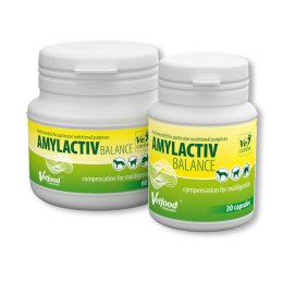 Amylactiv Balance 30 kaps - układ pokarmowy