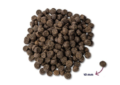 Renske Dog Mighty Omega-3 Plus - jagnięcina 15 kg Renske Dog Mighty Omega-3 Plus - jagnięcina 15 kg