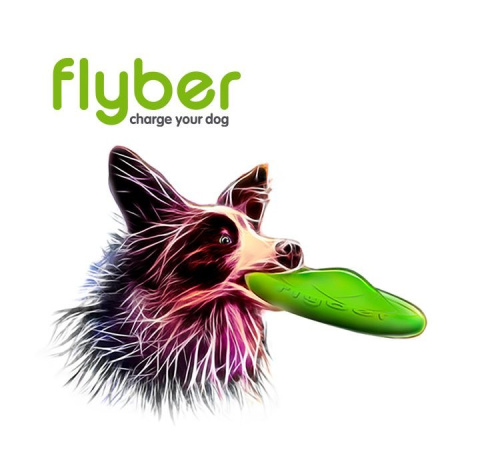 FLYBER latający dwustronny dysk dla psa Frisbee średnica 22 cm FLYBER latający dwustronny dysk dla psa Frisbee średnica 22 cm