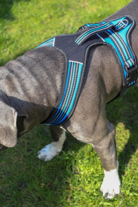 All For Dogs 3x-Sportowe szelki dla psa rozm. M Czerwone All For Dogs 3x-Sportowe szelki dla psa rozm. M Czerwone