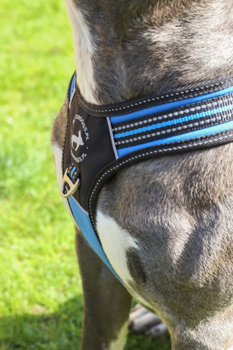 All For Dogs 3x-Sportowe szelki dla psa rozm. M Niebieskie All For Dogs 3x-Sportowe szelki dla psa rozm. M Niebieskie
