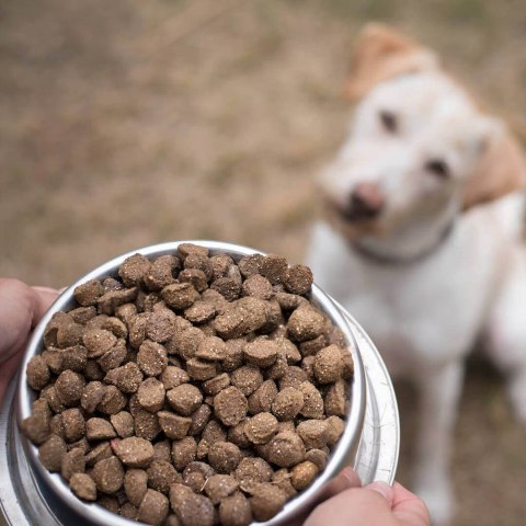 TENETRIO Gemüse Garten sucha karma z owadami i z warzywami 15 kg TENETRIO Gemüse Garten sucha karma z owadami i z warzywami 15 kg