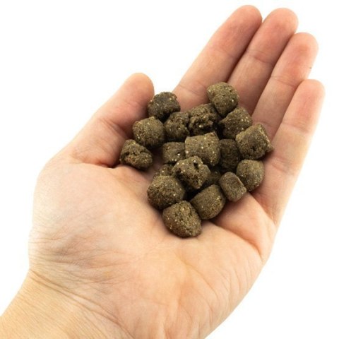 TENETRIO Gemüse Garten sucha karma z owadami i z warzywami 5 kg TENETRIO Gemüse Garten sucha karma z owadami i z warzywami 5 kg