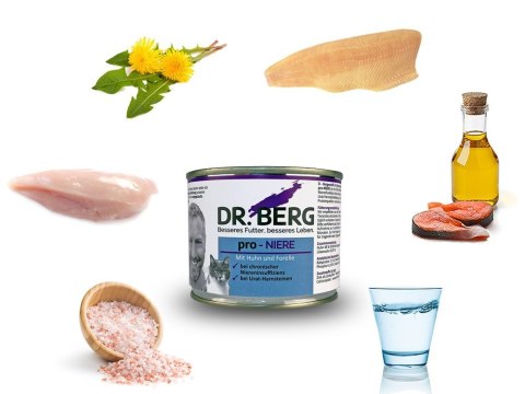 Dr.BERG Pro-NIERE dla kotów - nerki, kamica moczowa 200g Dr.BERG Pro-NIERE dla kotów - nerki, kamica moczowa 200g