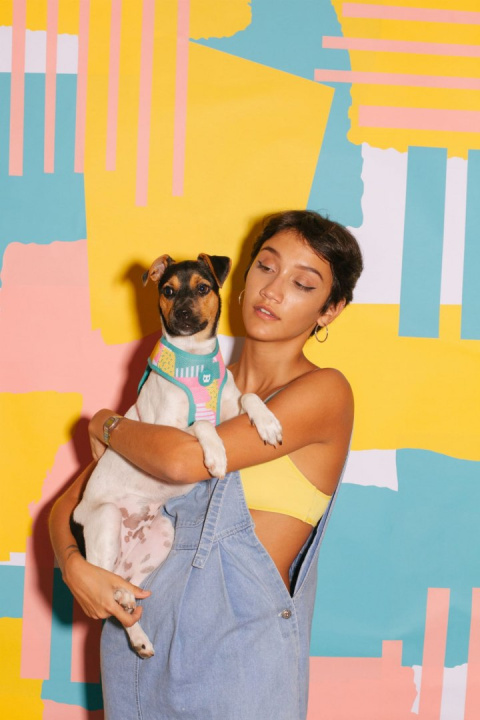 Zee Dog Szelki Air Mesh dla psa Salina L Zee Dog Szelki Air Mesh dla psa Salina L