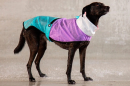 Zee Dog Płaszczyk przeciwdeszczowy dla psa Bel - Air rozm. S