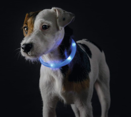 Hunter Obroża ledowa USB dla psa Yukon Niebieska