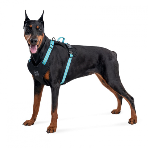 WauDog szelki bezuciskowe dla psa guard S PURPLE WauDog szelki bezuciskowe dla psa guard S PURPLE