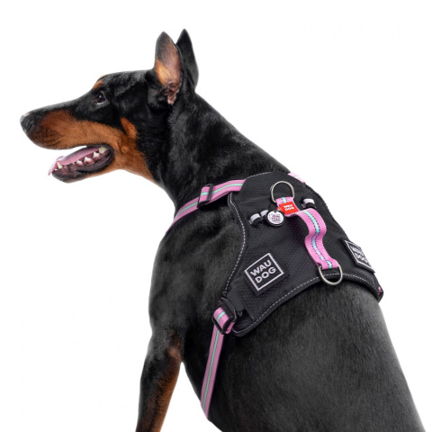 WauDog szelki bezuciskowe dla psa guard S PURPLE WauDog szelki bezuciskowe dla psa guard S PURPLE