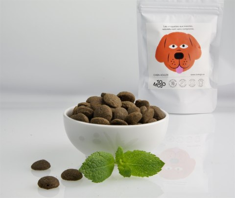 TOMOJO ekologiczna karma z insektów dla psów 2kg TOMOJO ekologiczna karma z insektów dla psów 2kg