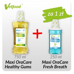 Maxi Ora Care Healthy Gums 750 ml +Maxi OraCare Fresh Breath 250 ml za 1 zł