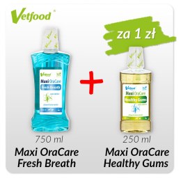 Maxi OraCare Fresh Breath 750 ml +Maxi OraCare Healthy Gums 250 ml za 1 zł