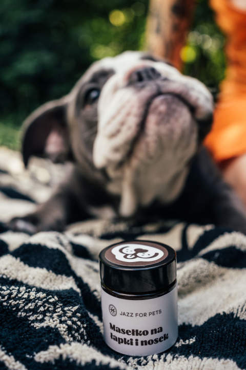 JAZZ FOR PETS MASEŁKO Z CBD NA ŁAPKI I NOSEK 30 ml JAZZ FOR PETS MASEŁKO Z CBD NA ŁAPKI I NOSEK 30 ml