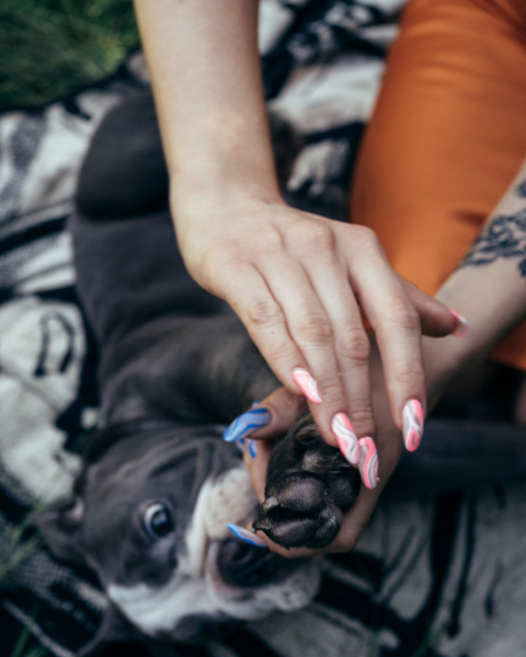 JAZZ FOR PETS MASEŁKO Z CBD NA ŁAPKI I NOSEK 30 ml JAZZ FOR PETS MASEŁKO Z CBD NA ŁAPKI I NOSEK 30 ml