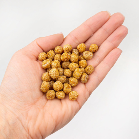 TENETRIO HUNDEPOPS przysmaki z owadami i ziemniakami 50g TENETRIO HUNDEPOPS przysmaki z owadami i ziemniakami 50g