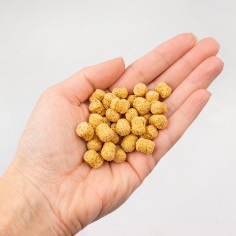 TENETRIO HUNDEPOPS przysmaki z owadami, ziemniakami i rozmarynem 50g TENETRIO HUNDEPOPS przysmaki z owadami, ziemniakami i rozmarynem 50g
