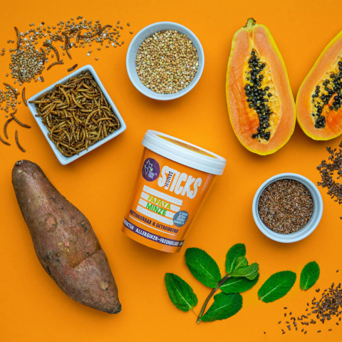 TENETRIO HUNDESTICKS PAPAYA- odświeżające oddech patyczki do żucia - z owadami, papają i mięta 330g TENETRIO HUNDESTICKS PAPAYA- odświeżające oddech patyczki do żucia - z owadami, papają i mięta 330g