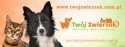 All For Dogs Sportowe szelki dla psa rozm. S Czarny