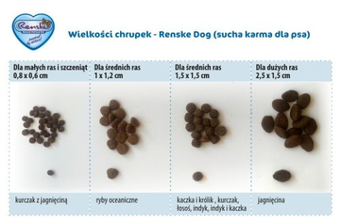 Renske Adult Dog fresh duck and rabbit - świeża kaczka i królik 12 kg Renske Adult Dog fresh duck and rabbit - świeża kaczka i królik 12 kg
