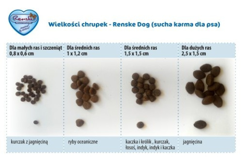 Renske Puppy Dog kurczak i jagnięcina dla szczeniąt 2 kg