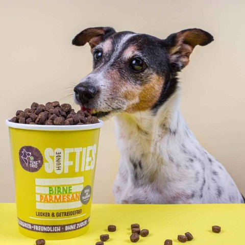 TENETRIO HUNDESOFTIES Birne Parmesan przysmaki treningowe z owadami, gruszką i parmezanem 300g TENETRIO HUNDESOFTIES Birne Parmesan przysmaki treningowe z owadami, gruszką i parmezanem 300g