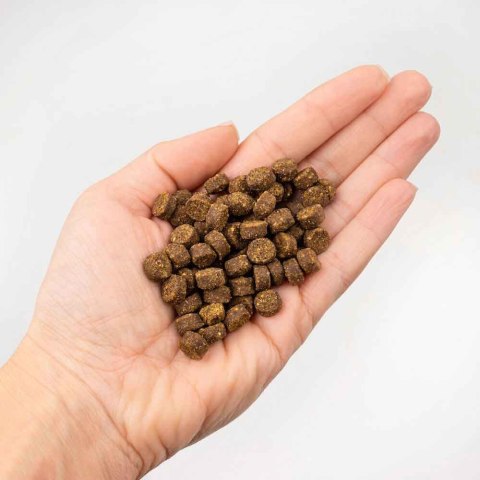TENETRIO HUNDESOFTIES Birne Parmesan przysmaki treningowe z owadami, gruszką i parmezanem 300g TENETRIO HUNDESOFTIES Birne Parmesan przysmaki treningowe z owadami, gruszką i parmezanem 300g