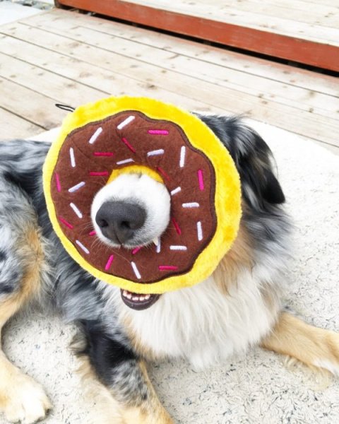 ZIPPY PAWS PLUSZOWY DONUTZ 18cm Czekoladowy Pączek dla psa ZIPPY PAWS PLUSZOWY DONUTZ 18cm Czekoladowy Pączek dla psa