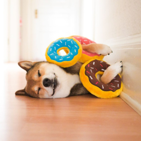 ZIPPY PAWS PLUSZOWY DONUTZ 18cm Truskawkowy Pączek dla psa ZIPPY PAWS PLUSZOWY DONUTZ 18cm Truskawkowy Pączek dla psa