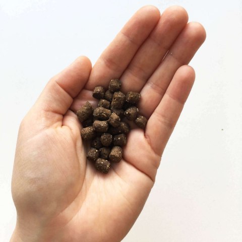 TENETRIO MINI dla małych psów - owady warzywa 500g TENETRIO MINI dla małych psów - owady warzywa 500g