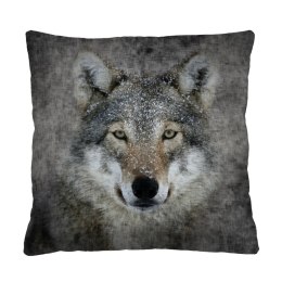 Poduszka kwadratowa Wolf