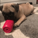 SodaPup Puppy Can Toy Medium PINK - na przysmaki