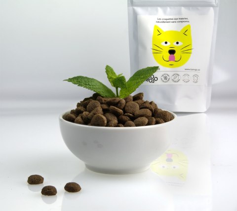 TOMOJO ekologiczna karma z insektów dla kotów 2,5kg TOMOJO ekologiczna karma z insektów dla kotów 2,5kg