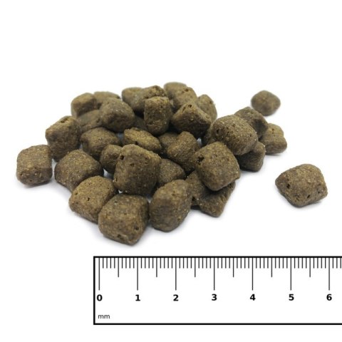 ICEPAW Insect pure karma z owadów dla dorosłych psów 14 kg ICEPAW Insect pure karma z owadów dla dorosłych psów 14 kg