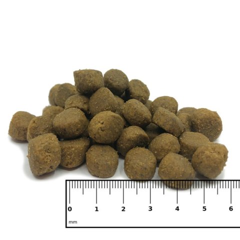 ICEPAW Lamb Rice jagnięcina niskokaloryczna karma dla psów 14 kg ICEPAW Lamb Rice jagnięcina niskokaloryczna karma dla psów 14 kg