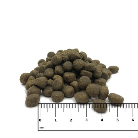 ICEPAW Puppy Junior śledź dla szczeniąt i młodych psów 2 kg ICEPAW Puppy Junior śledź dla szczeniąt i młodych psów 2 kg