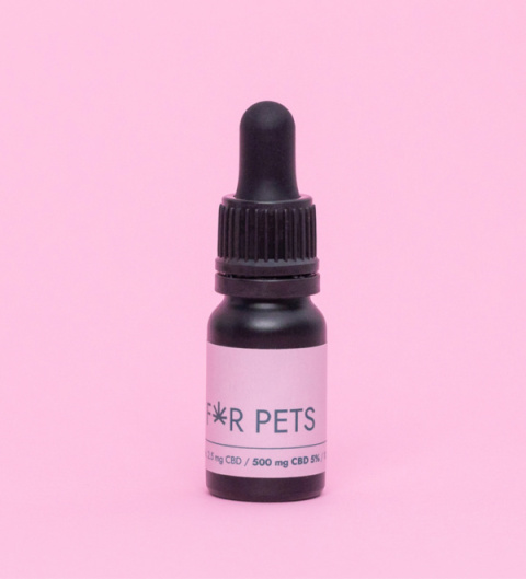 JAZZ FOR PETS 5% OLEJEK Z CBD o smaku łososia 10ml JAZZ FOR PETS 5% OLEJEK Z CBD o smaku łososia 10ml