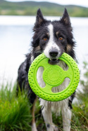 KIWI WALKER Let's Play! Maxi Frisbee dla psa - niebieski