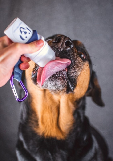 SmoothieDog Doggy Roller z karabińczykiem Różowy SmoothieDog Doggy Roller z karabińczykiem Różowy
