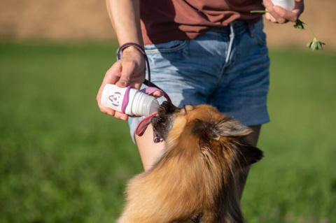 SmoothieDog Doggy Roller z karabińczykiem Niebieski SmoothieDog Doggy Roller z karabińczykiem Niebieski