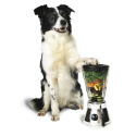 SmoothieDog IMMUNIO 240 ml - wspiera układ odpornościowy psa