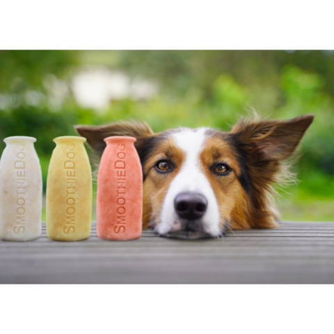 SmoothieDog JAGNIĘCINA 250 ml płynna przekąska dla psa SmoothieDog JAGNIĘCINA 250 ml płynna przekąska dla psa