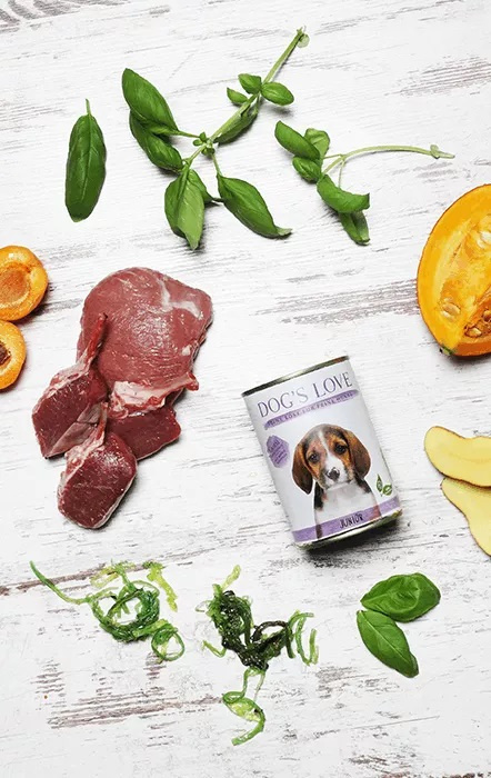 DOG’S LOVE Junior Lamm – jagnięcina z dynią i rumiankiem dla szczeniąt 400g DOG’S LOVE Junior Lamm – jagnięcina z dynią i rumiankiem dla szczeniąt 400g