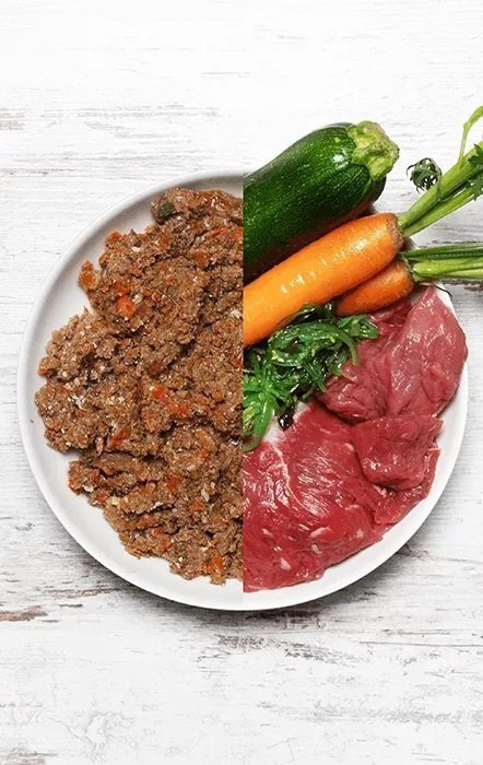 DOG'S LOVE Junior Rind - wołowina z marchewką i szałwią dla szczeniąt 400g DOG'S LOVE Junior Rind - wołowina z marchewką i szałwią dla szczeniąt 400g