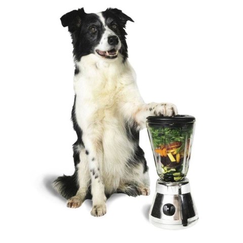 SmoothieDog SENSITIVO Konina dla psa z alergią pokarmową 250ml SmoothieDog SENSITIVO Konina dla psa z alergią pokarmową 250ml