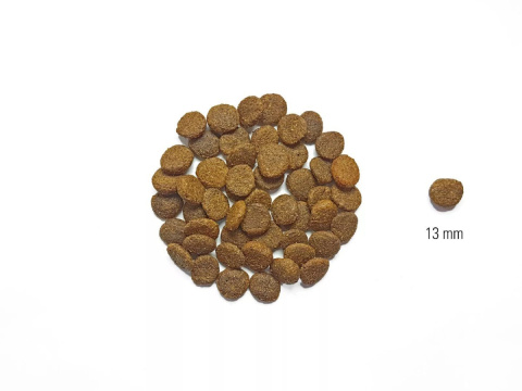 DOG'S LOVE Lamm - jagnięcina z batatami i jabłkami 2 kg DOG'S LOVE Lamm - jagnięcina z batatami i jabłkami 2 kg