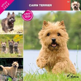 Kalendarz 2024 Cairn Terrier