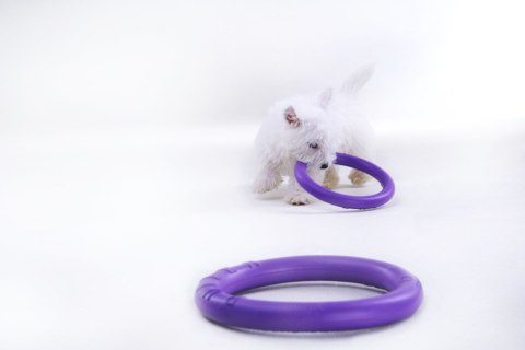 PULLER MICRO Ring dla małych psów 2szt. 12,5cm PULLER MICRO Ring dla małych psów 2szt. 12,5cm