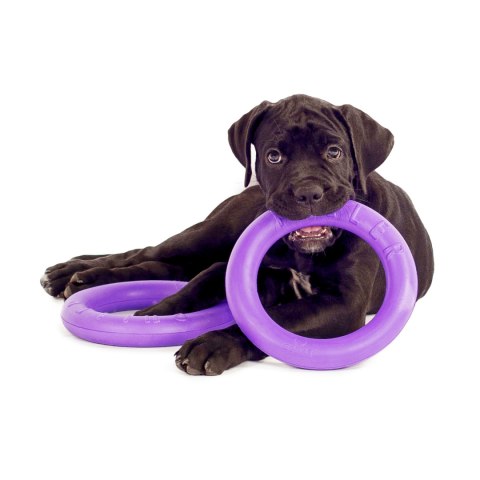 PULLER MIDI Ring dla psa 2szt. 20cm PULLER MIDI Ring dla psa 2szt. 20cm